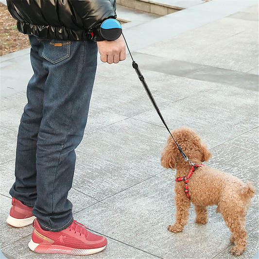 DogiWalk™ | Handsfree Intrekbare Hondenriem