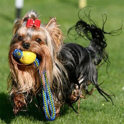TitanBite™ | Sterke Kauwbal voor Honden