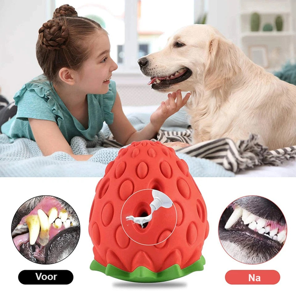 WoofBerry™ | Voor Frisse Adem en Gezonde Tanden