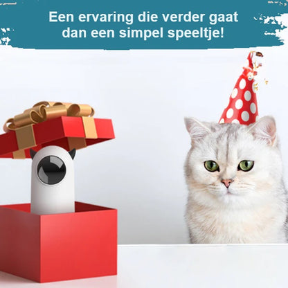 FeliFun™ | Waar plezier en gezondheid samenkomen