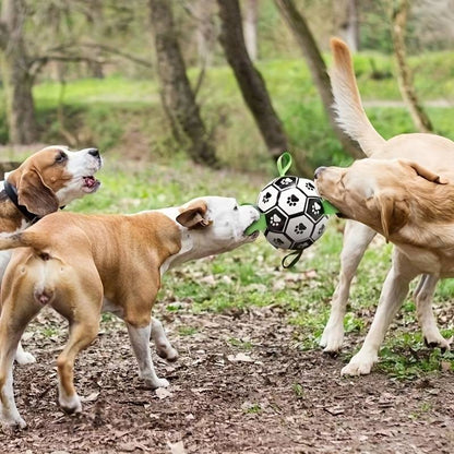 FlapFetch™ | Maakt Honden Blij en Actief