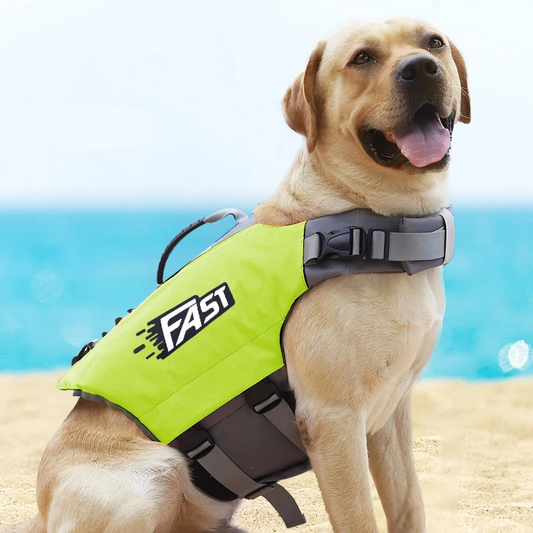 SurfPaws™ | Veilig en Verstelbaar Reddingsvest