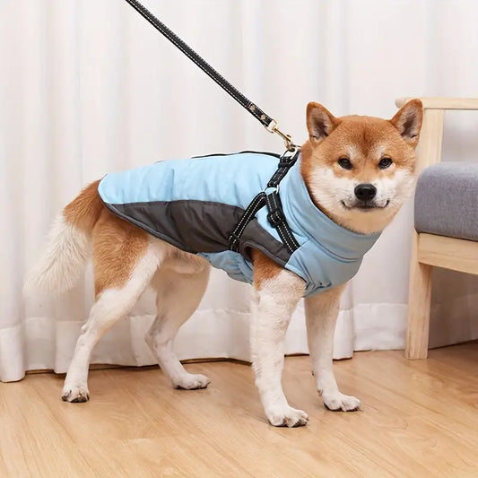 Doegly™ | Winterjas voor honden tegen koude dagen