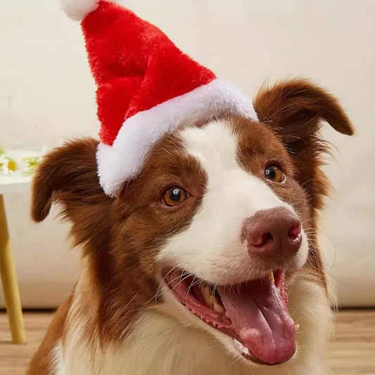 SantaPaws™ | Zachte Kerstmuts voor Warme Kerstmomenten