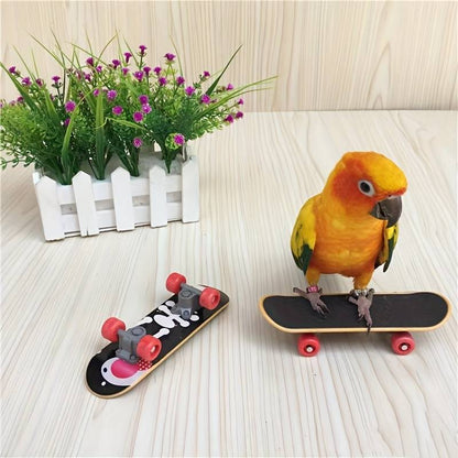 SkateBird™ | Het ultieme skateboard voor vogels