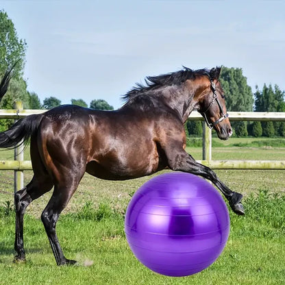 PonyPal™ | Verminder Verveling en Versterk Kracht