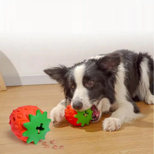 WoofBerry™ | Voor Frisse Adem en Gezonde Tanden