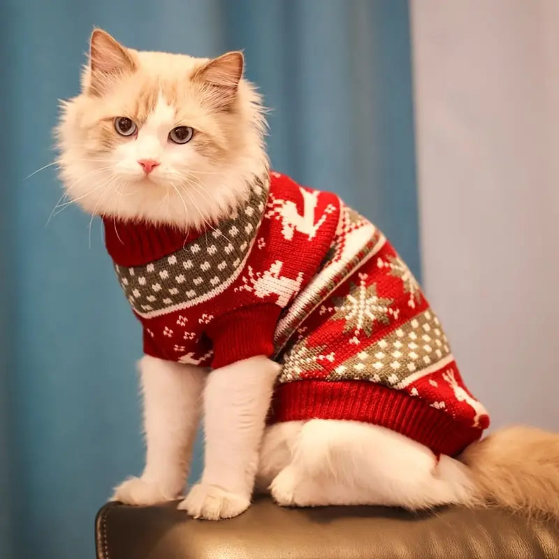 SnowKitty™ | Premium Warme Gebreide Trui
