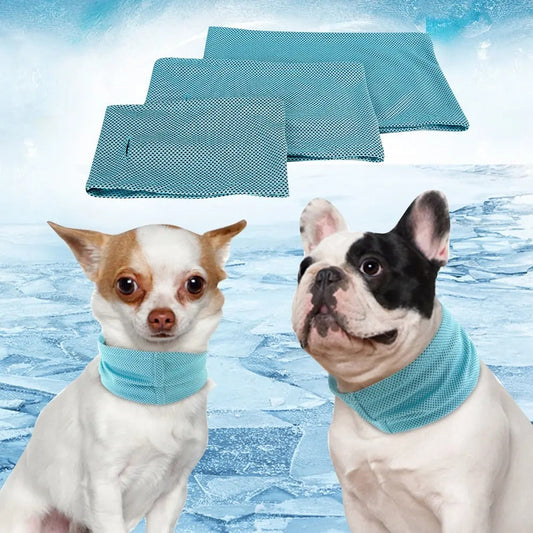 FreshFurr™ | Veilige Verkoeling Halsband
