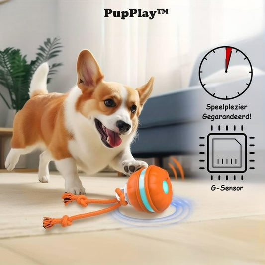 PupPlay™ | Sterk en Langdurig Speelplezier