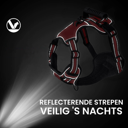 GlowFit™ | Stressvrij wandelen zonder trekken