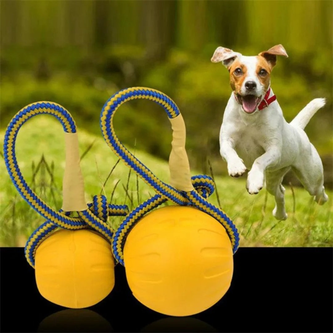 TitanBite™ | Sterke Kauwbal voor Honden