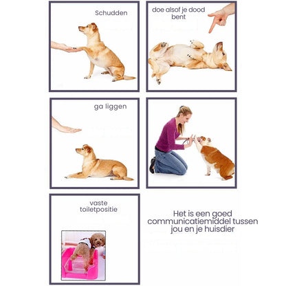 Clickzy™ | Heldere Klik, Snelle Training!