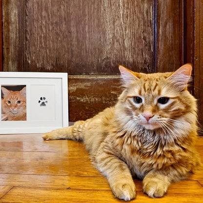 PawPrint™ | Vereeuwig liefde met een uniek geschenk