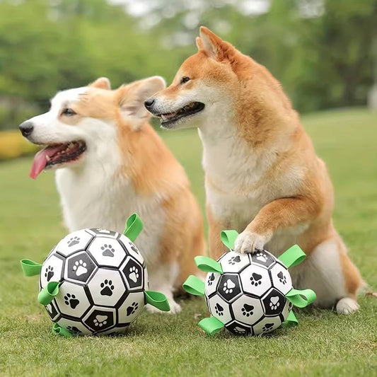 FlapFetch™ | Maakt Honden Blij en Actief
