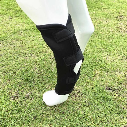 ActivePaw™ | Kniebrace voor veilige en pijnvrije beweging