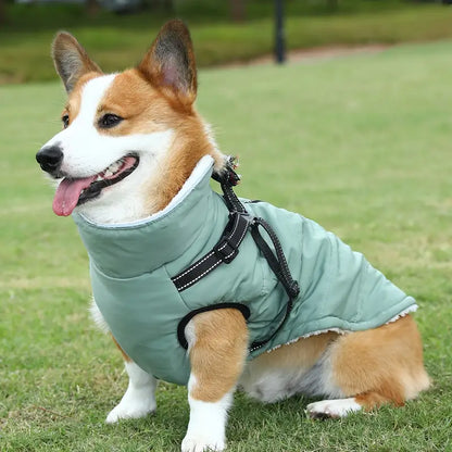 Barkie™ | Nooit meer koude wandelingen