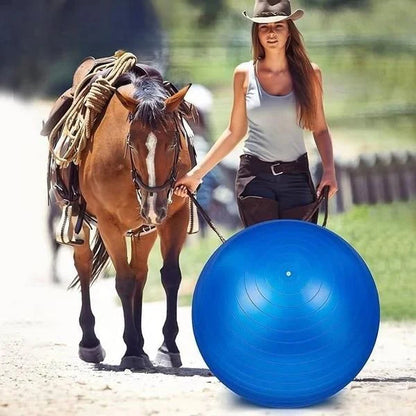 PonyPal™ | Verminder Verveling en Versterk Kracht