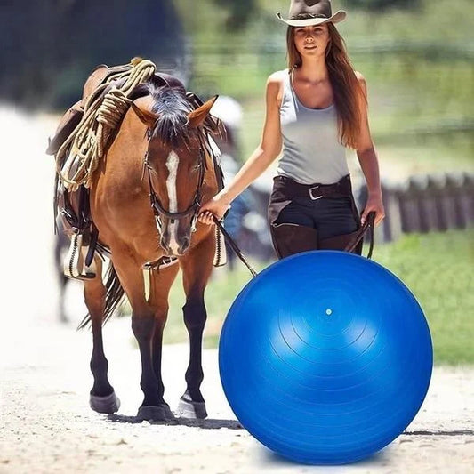 PonyPal™ | Verminder Verveling en Versterk Kracht