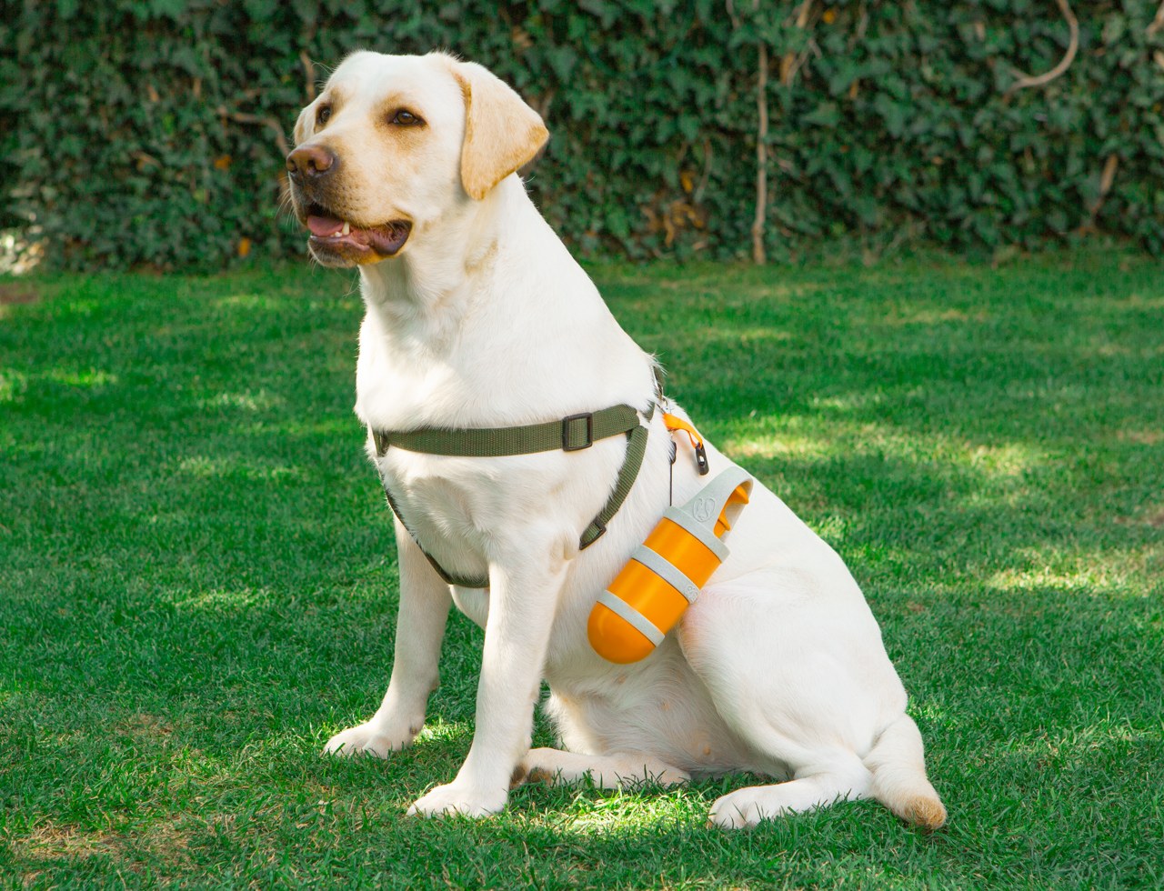 PetClean™ | Slimme Huisdierontlasting Opruimer
