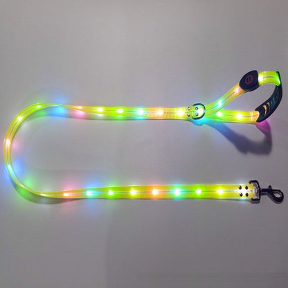 BrightPaw™ | Verlicht Elke Stap Samen