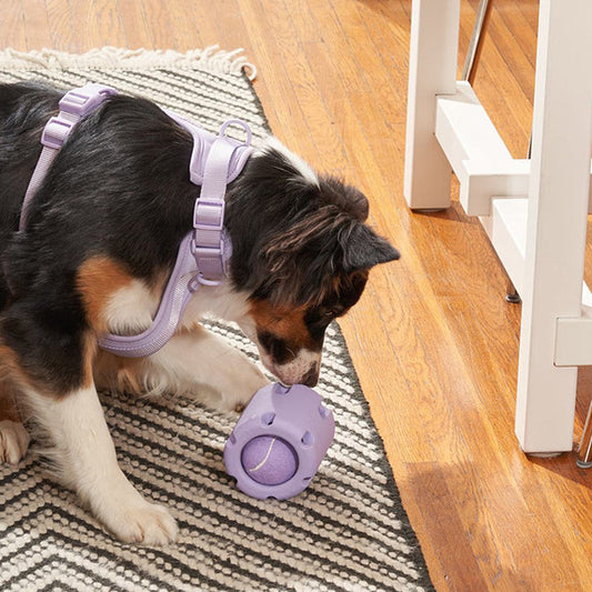 RolliePaw™ | Actief Speelgoed voor Honden