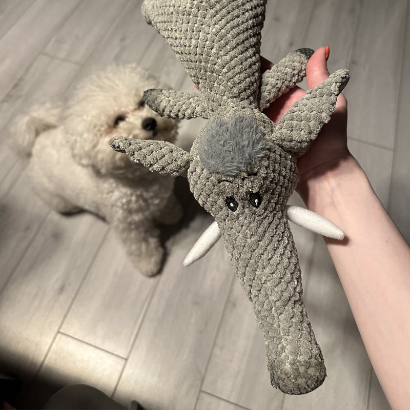 ChewKing™ | Extra sterk speelgoed