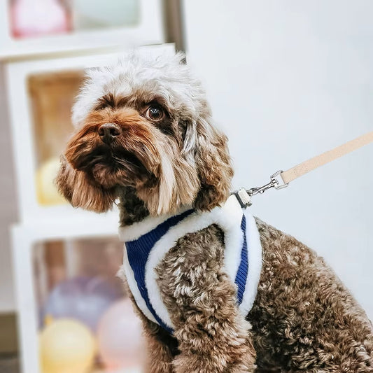 ComfyPaw™ | Perfecte Controle en Verstelbaar