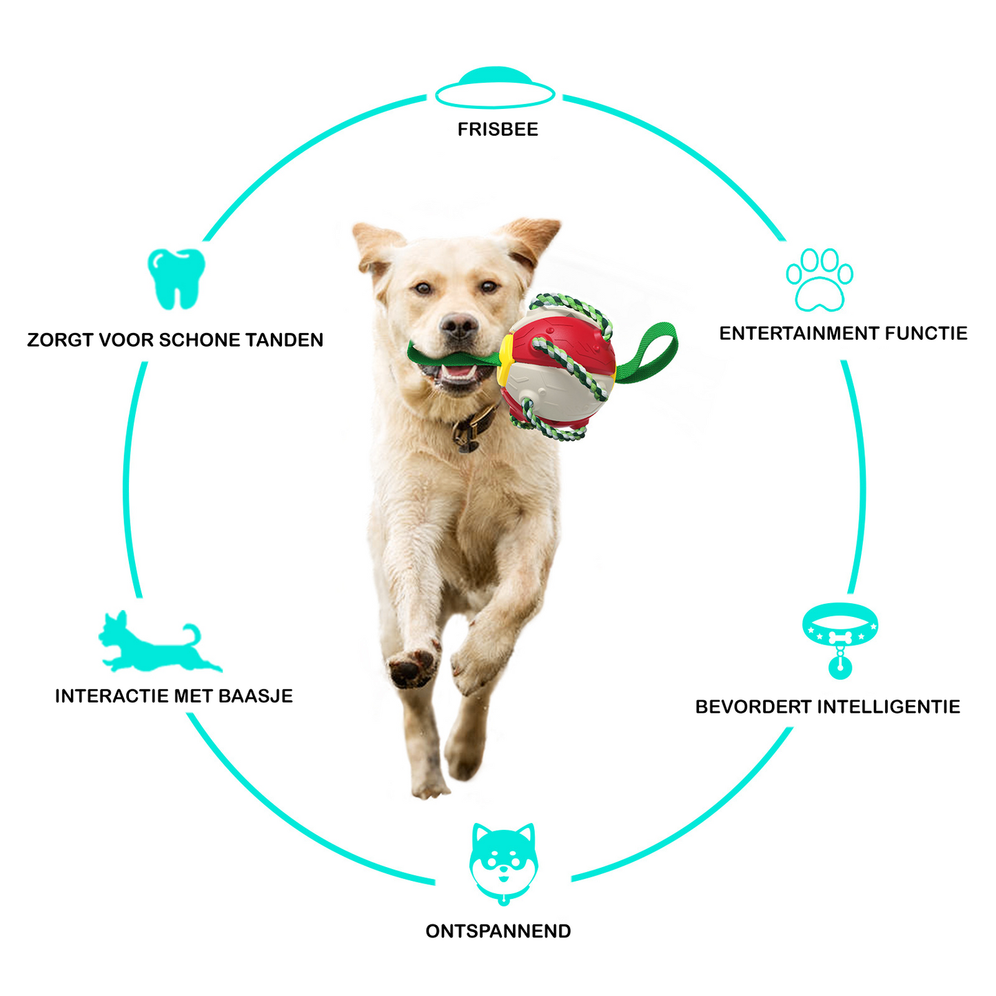 ChewTech™ | 3-in-1 Hondenbal