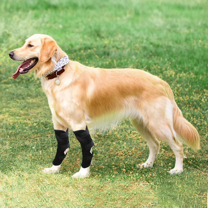 ActivePaw™ | Kniebrace voor veilige en pijnvrije beweging