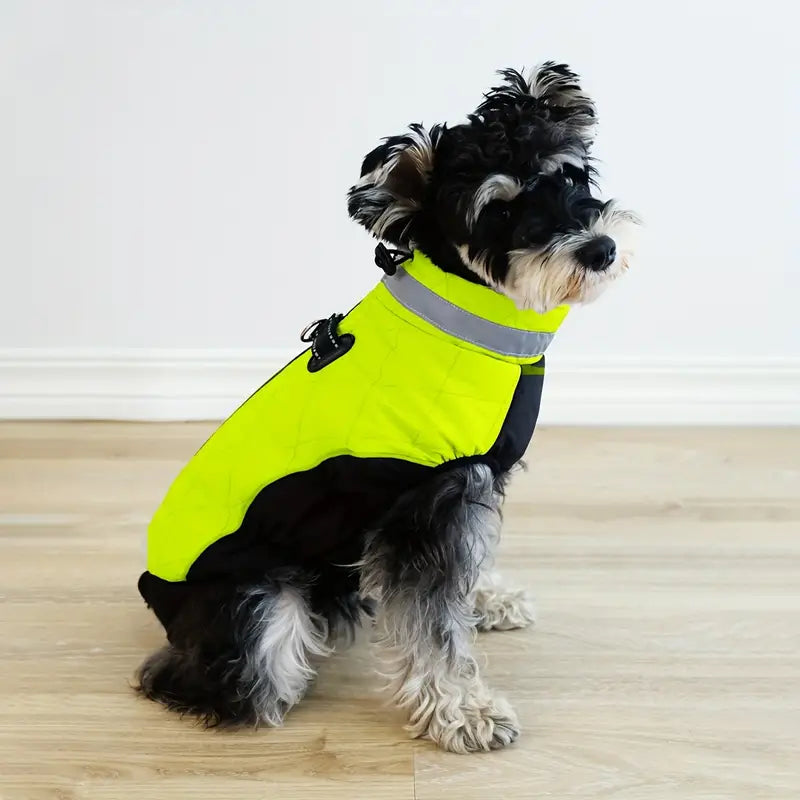 PawSure™ | Droog, warm en zichtbaar in regen en kou