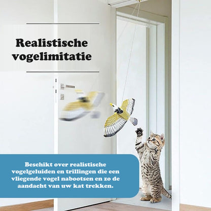 SkyClaw™ | Vliegend speelplezier voor je kat