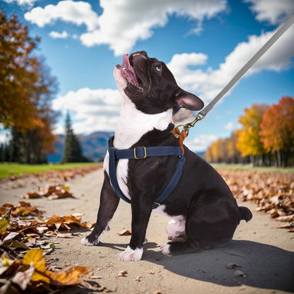 EasyPaws™ | Ademend comfort en minder stress