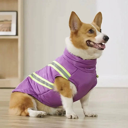 FurMax™ | Laat je hond nooit meer kou lijden