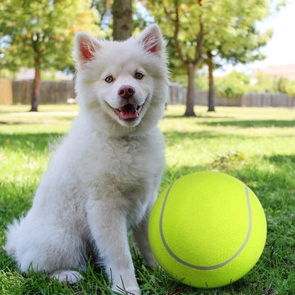 BarkBounce™ | Avontuurlijk Speelplezier