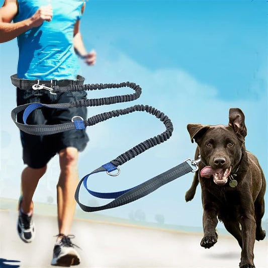 PawStrap™ | Hondenriem met veilige grip en schokdemping
