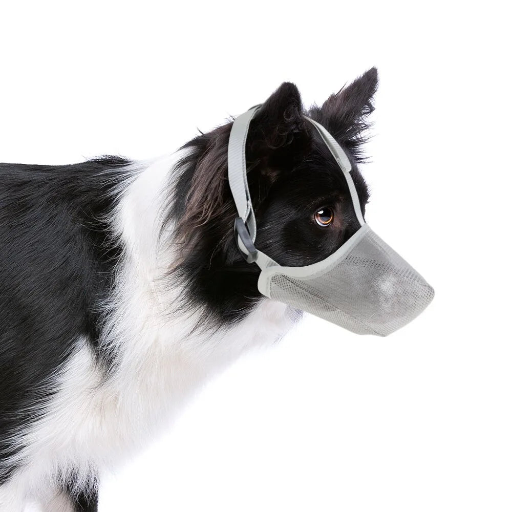 SnoutSecure™ | Voorkom blaffen en bijten
