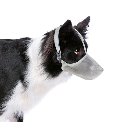 SnoutSecure™ | Voorkom blaffen en bijten