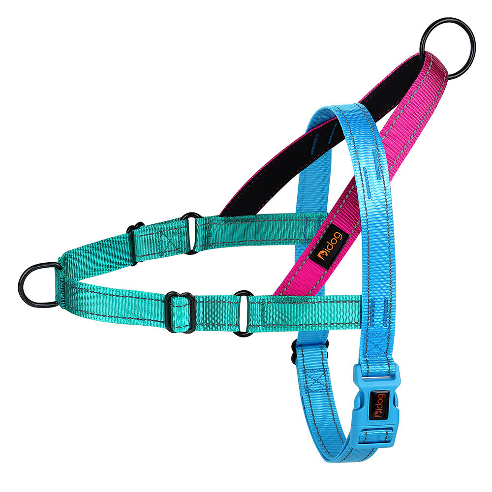 LumaPaw™ | Voor Stressvrije Wandelingen en Volledige Controle