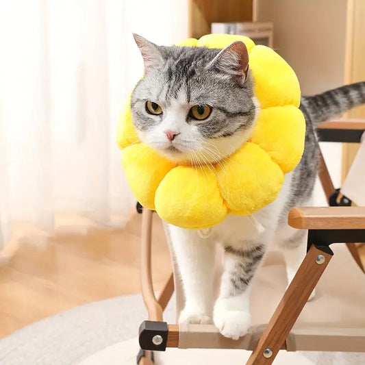 PawBloom™ | Versnel Herstel en Bescherm Tegen Vlooien