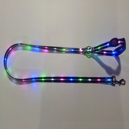 BrightPaw™ | Verlicht Elke Stap Samen