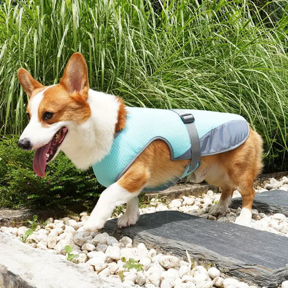 CoolBarker™ | Bescherm je Hond Tegen Hitte