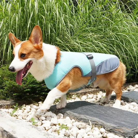 CoolBarker™ | Bescherm je Hond Tegen Hitte