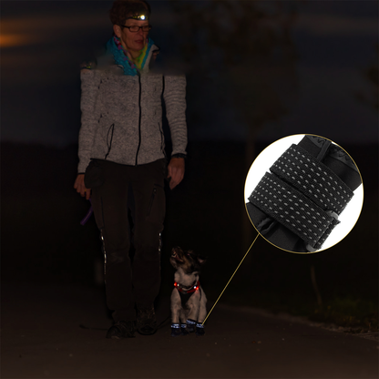 PawCooler™ | Koelende Potenbescherming