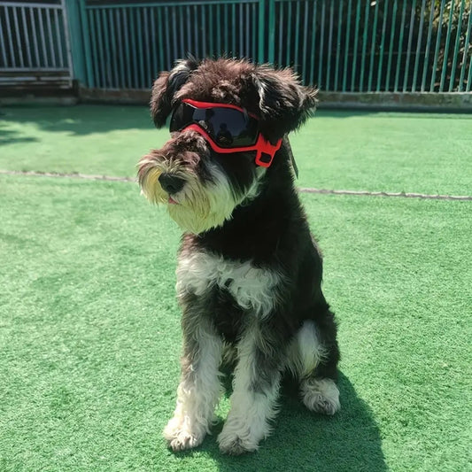 FurrVision™ |  UV- en Windbescherming