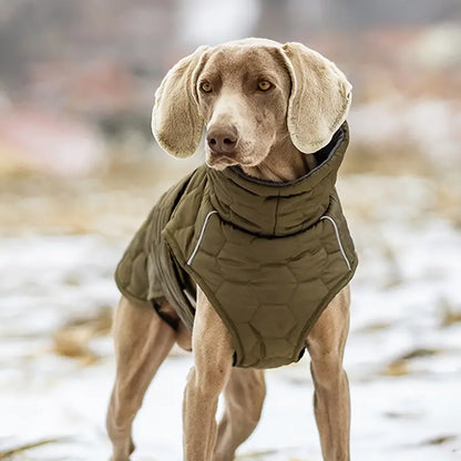 Pawsy™ | Warme en waterdichte hondenjas