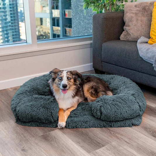 WoofHaven™ | Kalmerend Bed (Memory Foam)