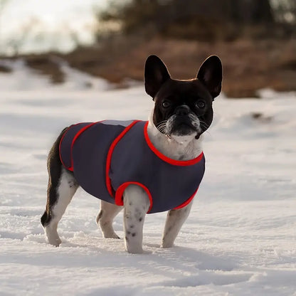 CalmPet™ | Kalmerend vest tegen angst en stress