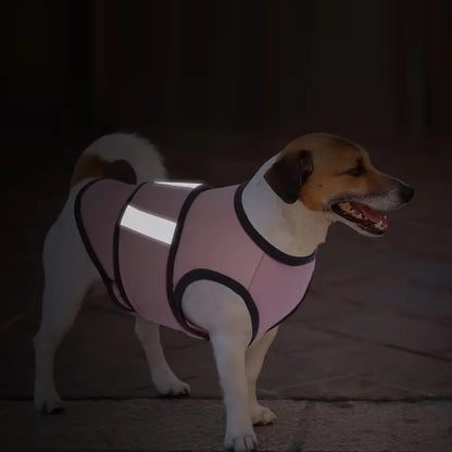 CalmPet™ | Kalmerend vest tegen angst en stress