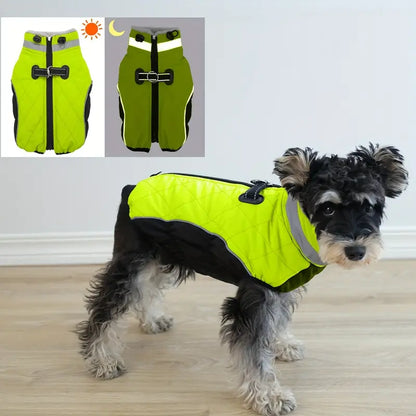 PawSure™ | Droog, warm en zichtbaar in regen en kou